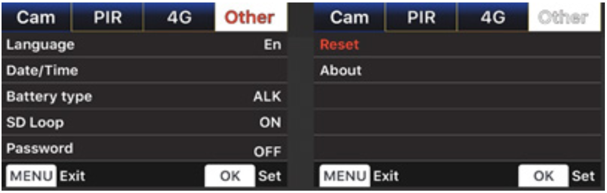 Other.png